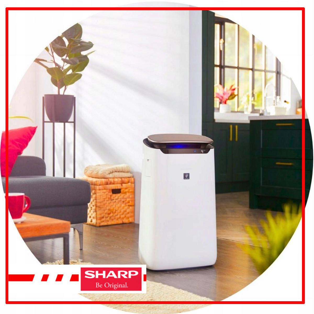 Oczyszczacz powietrza SHARP z JONIZACJĄ FP-J60EUW dla alergików HEPA +ebook Marka Sharp