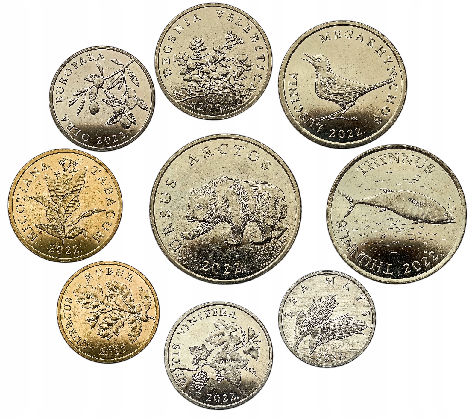 CHORWACJA ZESTAW 9 MONET 1 LIPA - 5 KUNA 2022 ROŚLINY ZWIERZĘTA MENNICZY