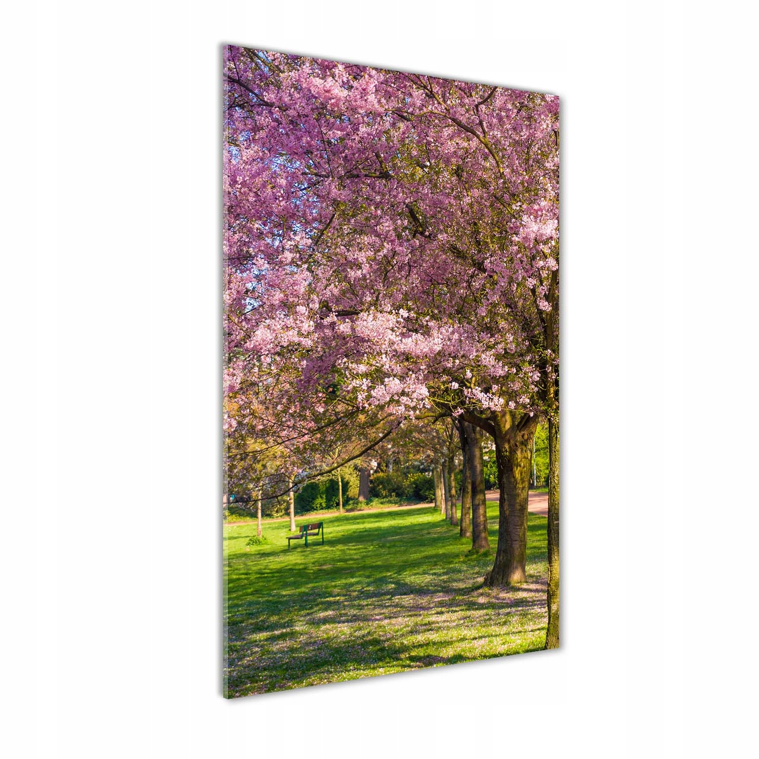 Moderní akrylový fotoobraz Třešňové stromy 60x120