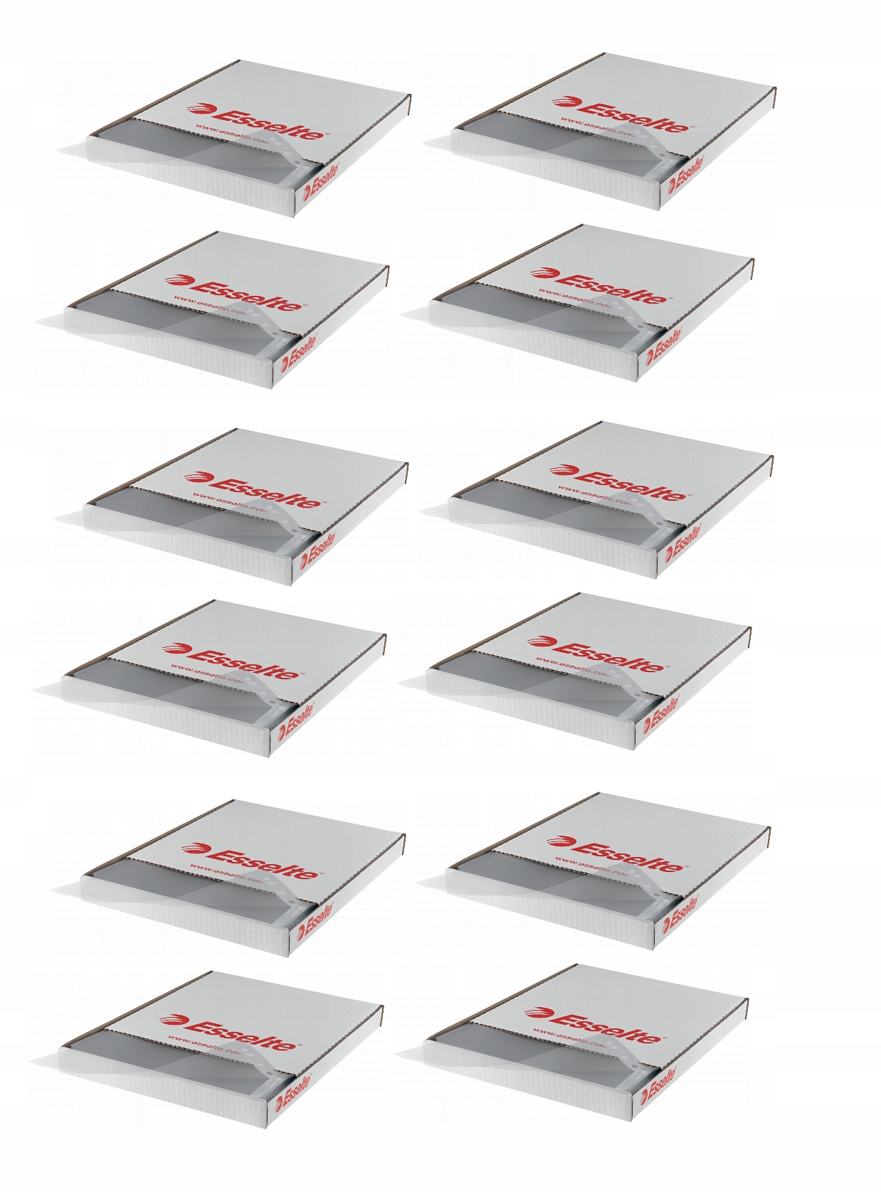 

Obwoluty krystaliczne A4 Esselte 55mic karton x10