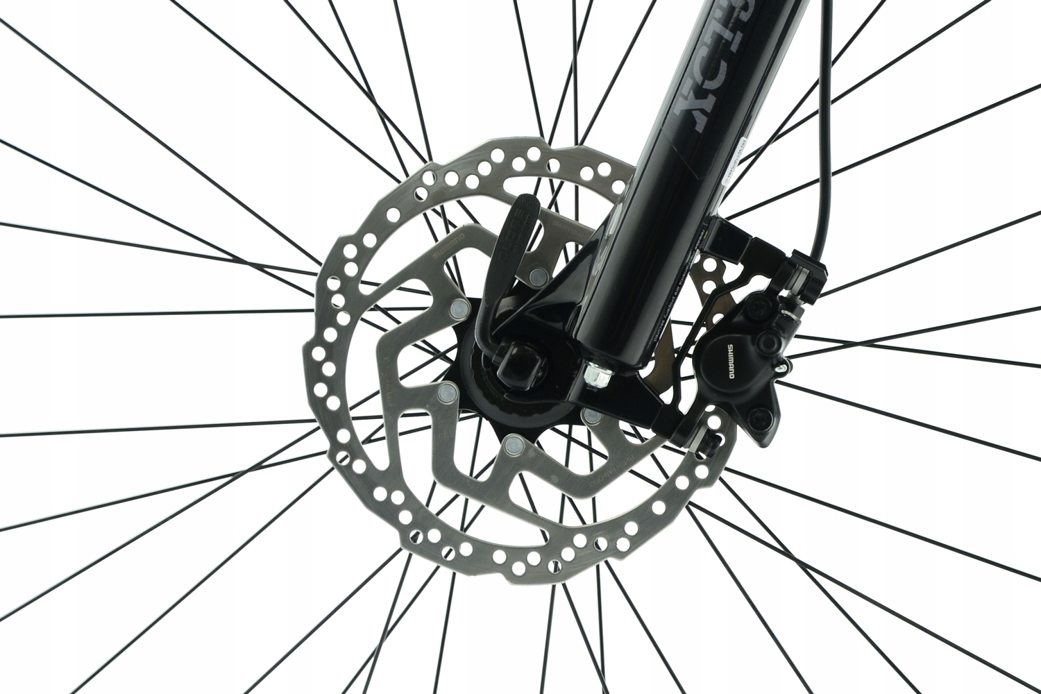 Rower MTB Kands 29 Comp-er Cues r21