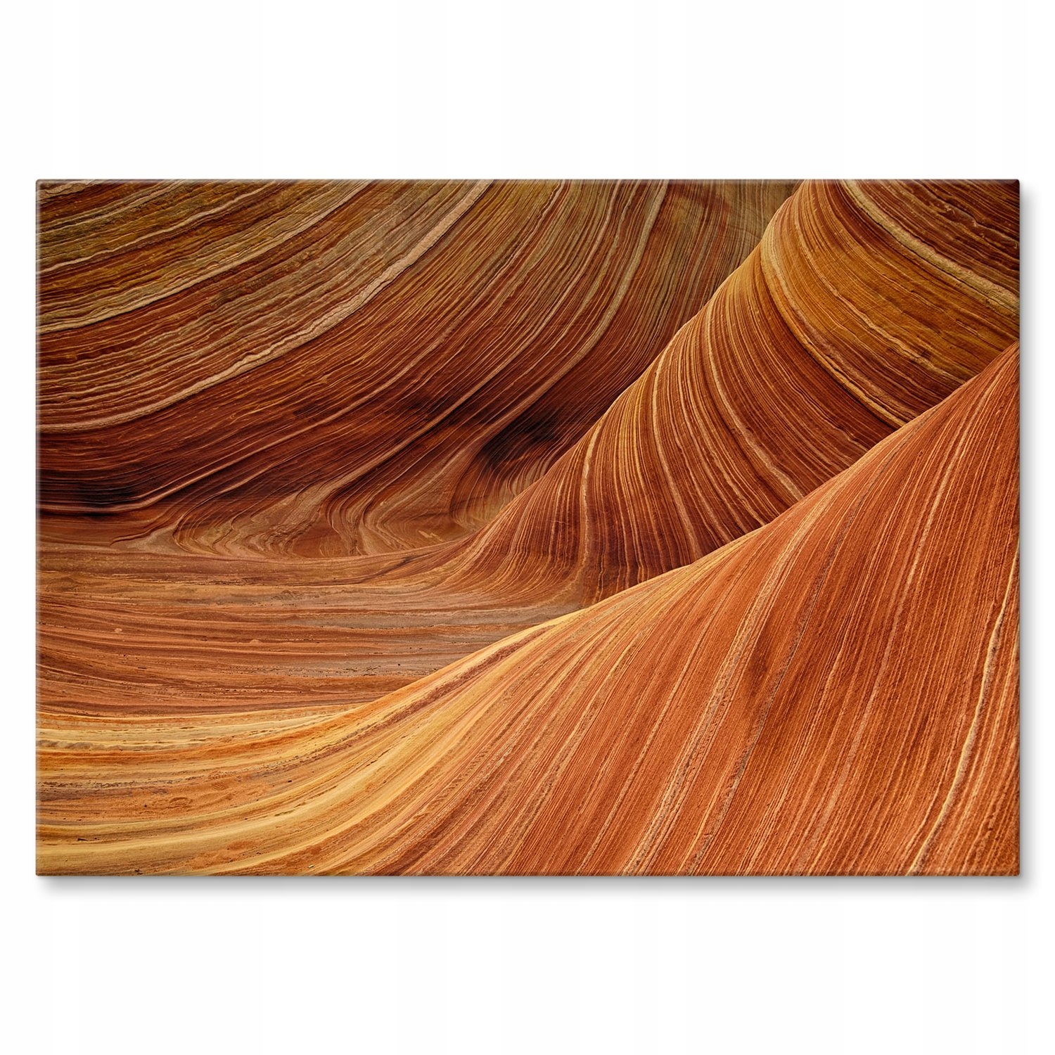 Kovový plakát Abstraktní příroda Dárek 30 x 42 cm