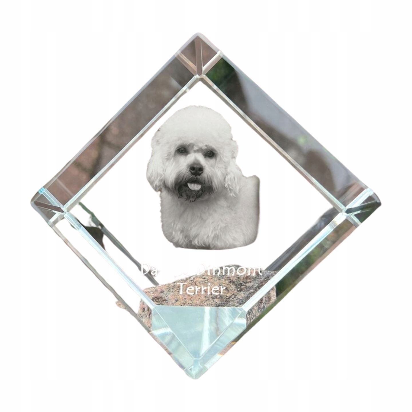 Dandie Dinmont Terrier krištáľová kocka s fotografiou psa, ozdoba na stôl
