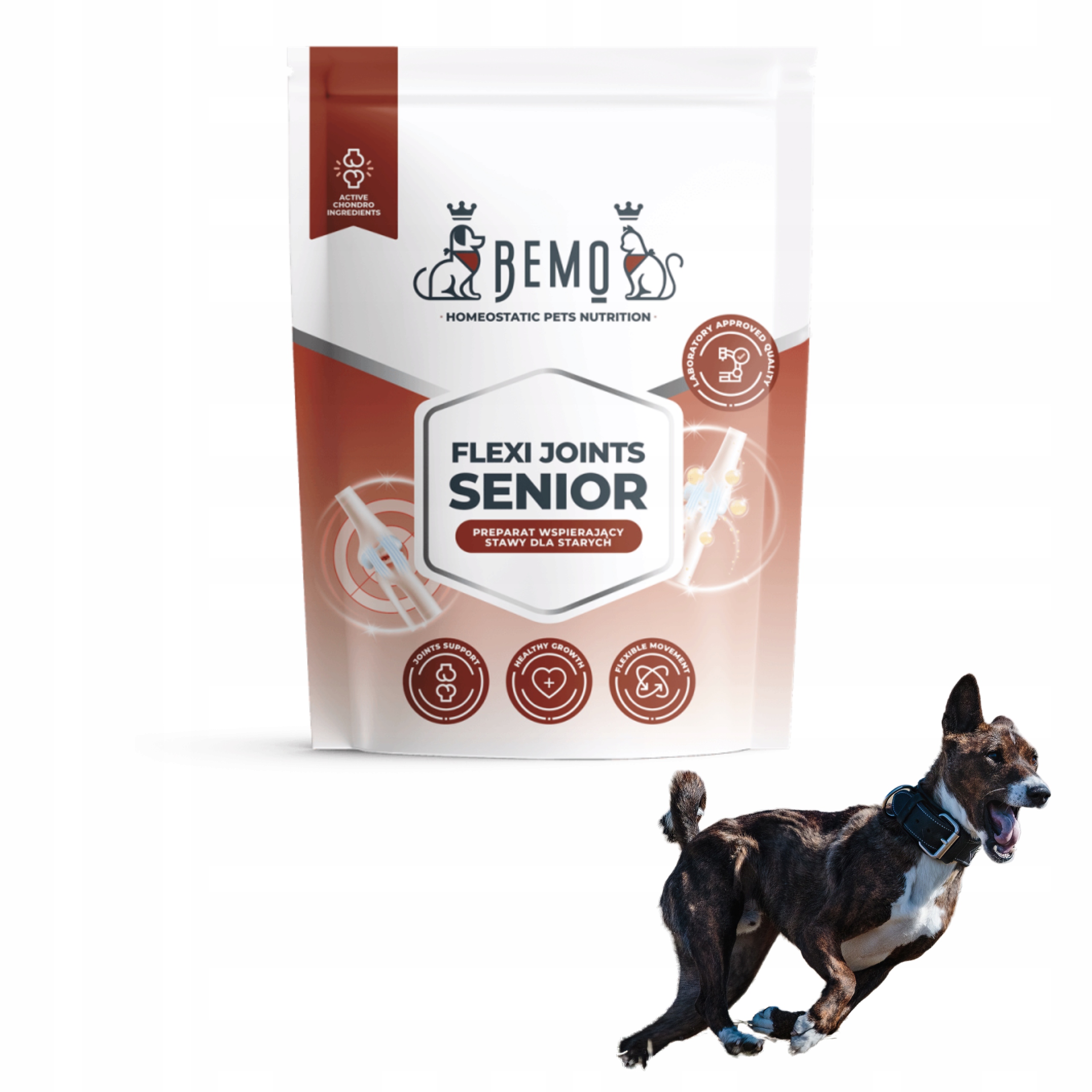 Levně Doplněk stravy pro psy Bemo Flexi Joints Senior 500 g na klouby, kolagen pro psy