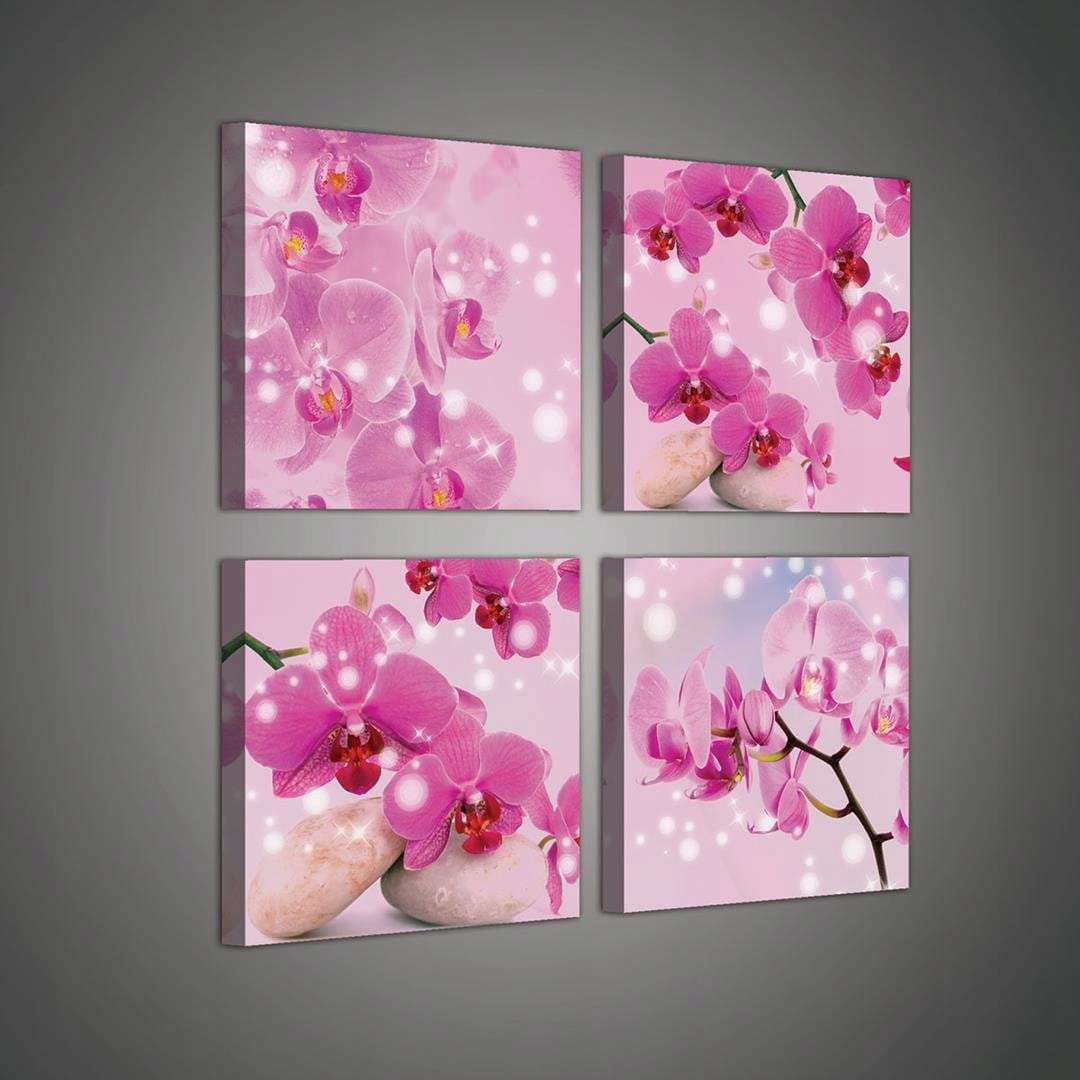 Obraz 50x50 Orchidej zen klid relaxace růžové kameny příroda elegance