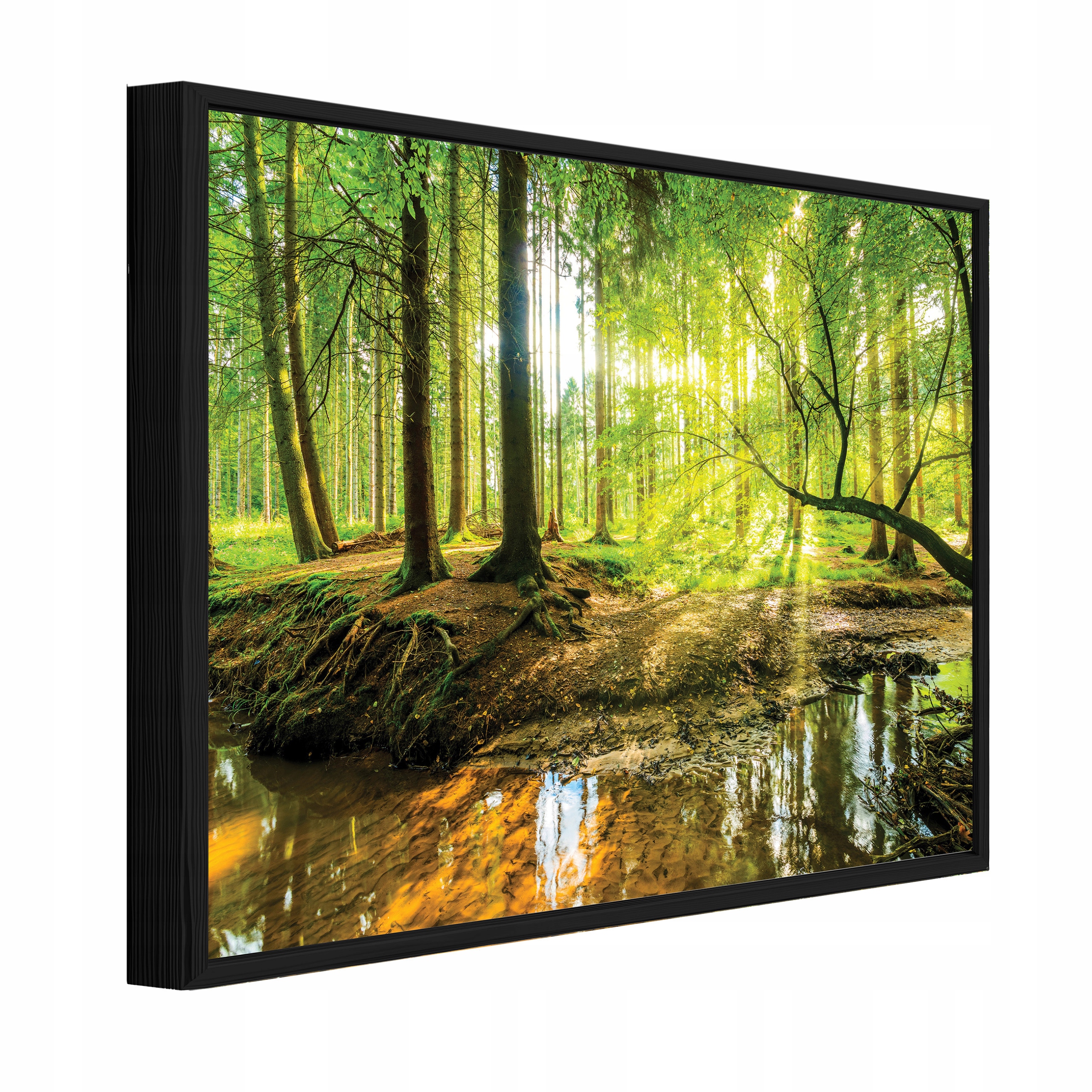 Obraz V Černém Rámu Na Plátně Les Stromy Příroda Obývací Pokoj Ložnice 60x40