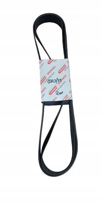 PASEK WENT 1287 16 MASCHIO GASPARDO F06010160R