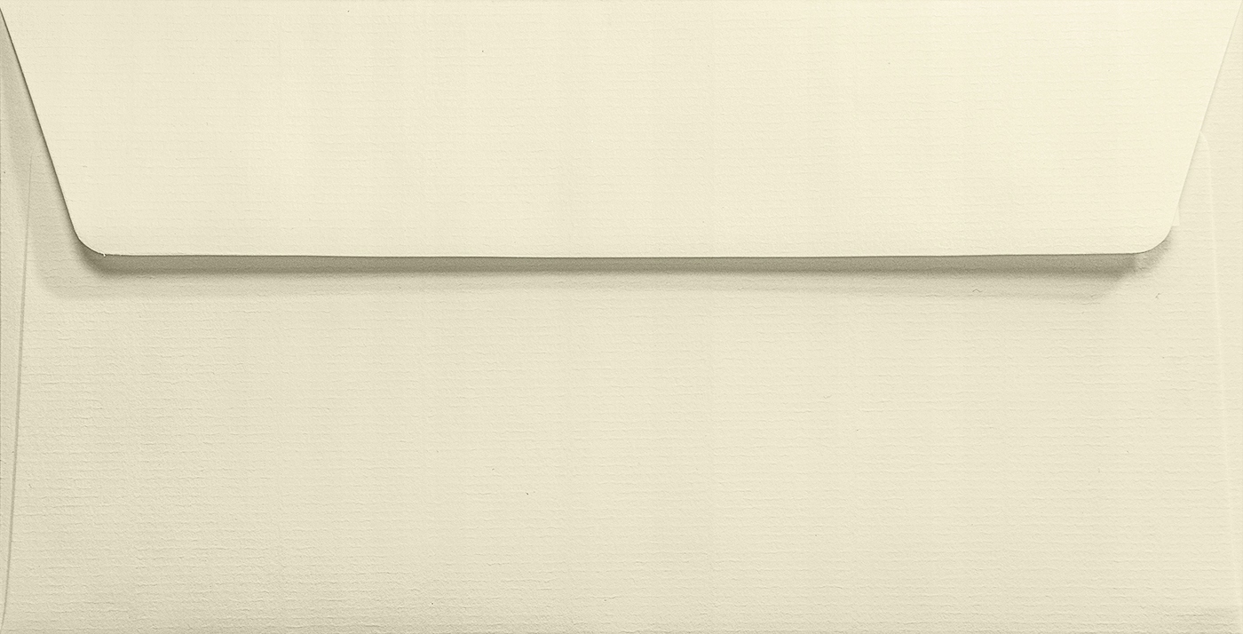 

Koperty żeberkowane DL Aster Laid ecru 5szt.