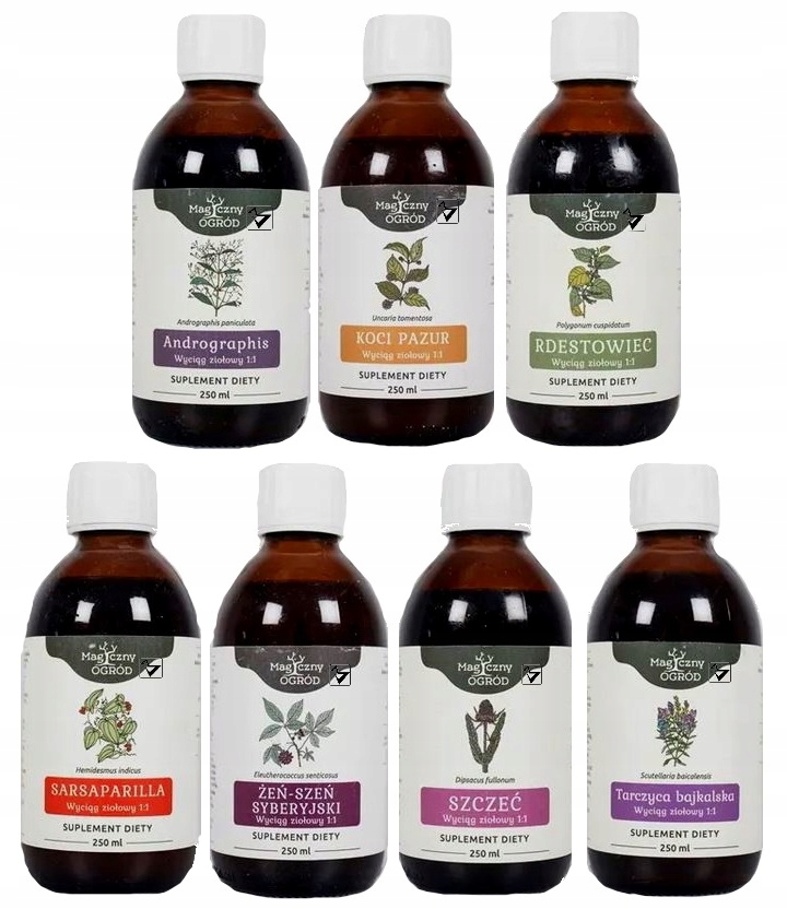 Protokół Buhnera Rozszerzony Borelioza Buhner