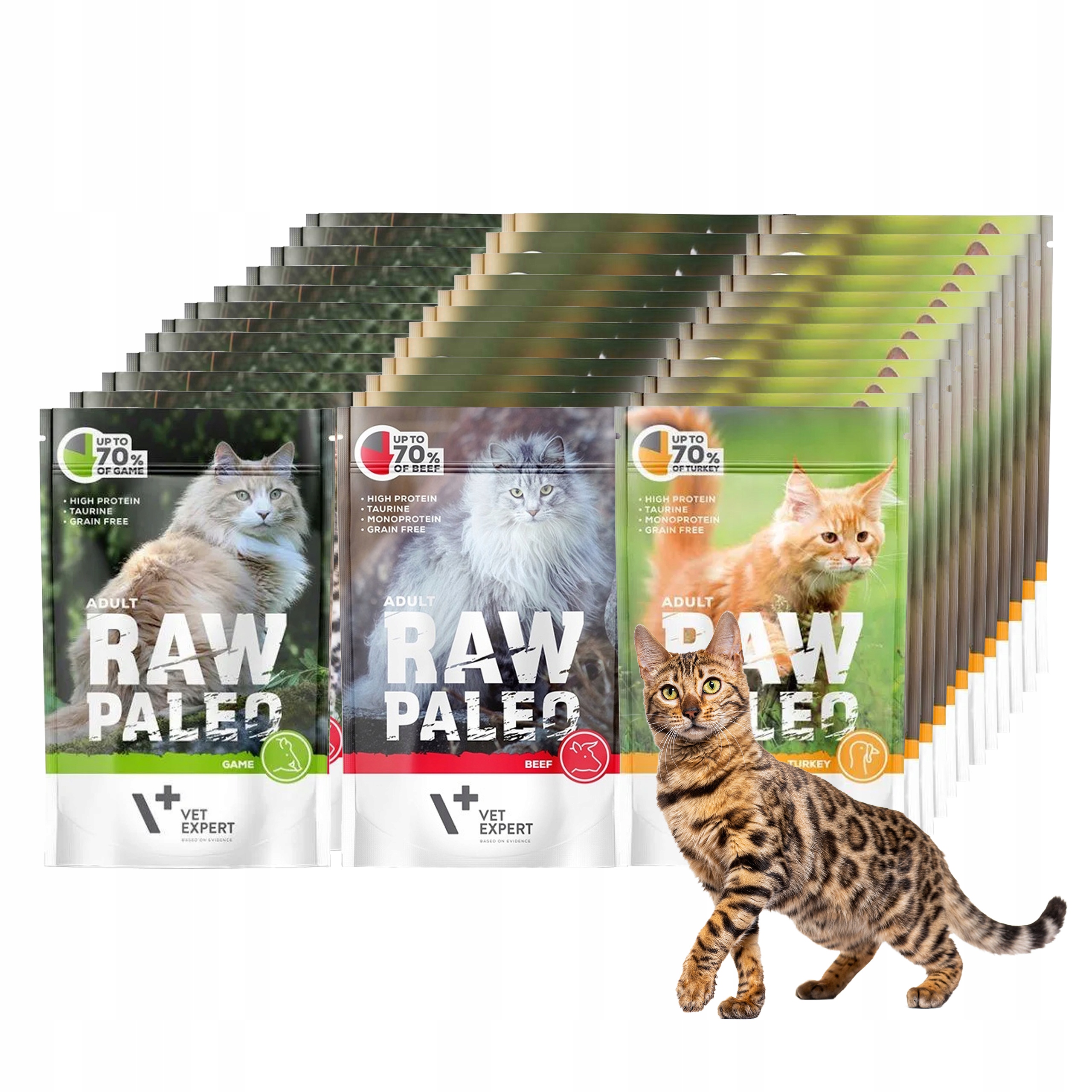 Mokra karma dla kota mix smaków saszetki Raw Paleo Adult Cat zestaw 36x100g