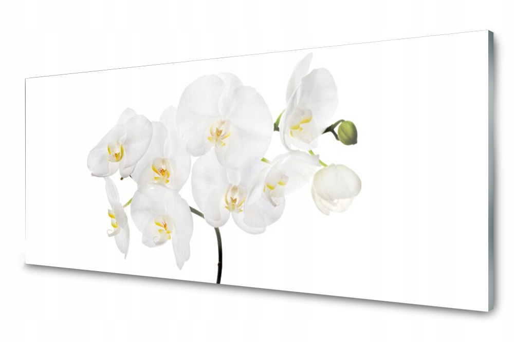 Sklenený panel do kuchyne Orchidea Biela 125x50