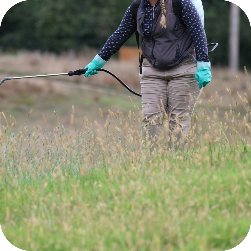ROUNDUP FLEX 480 5L MOCNY ŚRODEK CHWASTOBÓJCZY PREPARAT NA CHWASTY RANDAP Producent Roundup