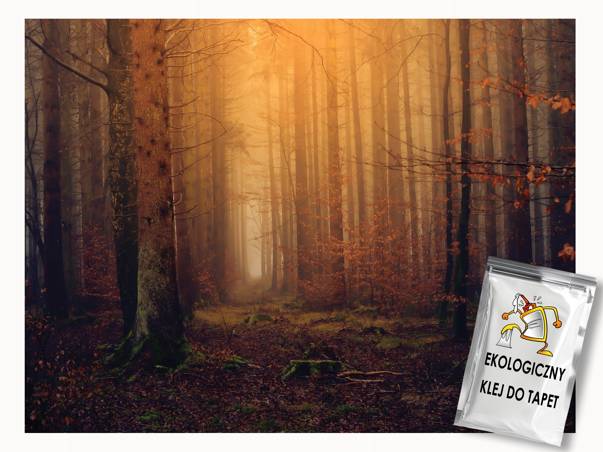 Fototapeta Flizelina Krajina Příroda Les Stromy Podzim Světlo 200x140 lepidlo