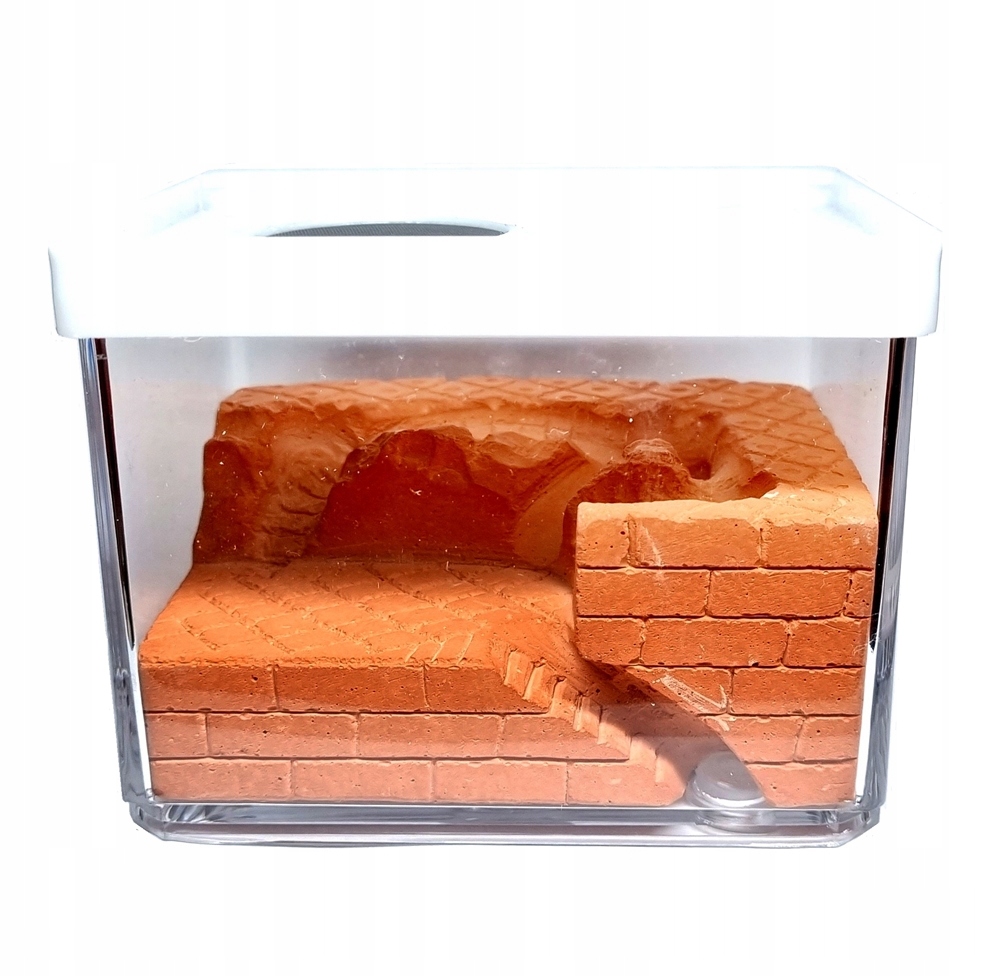 Formikarium Gipsowe Czerwone hodowla mrówek AntHunter