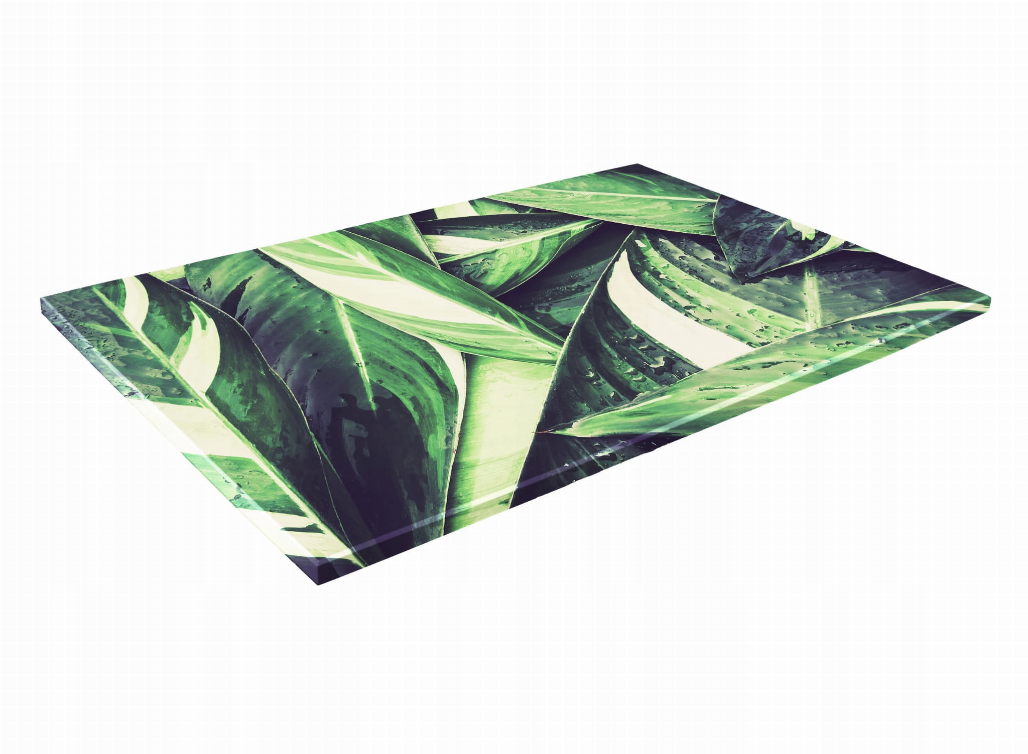 

Szklana Deska Kuchenna 60x30 360d Dżungla