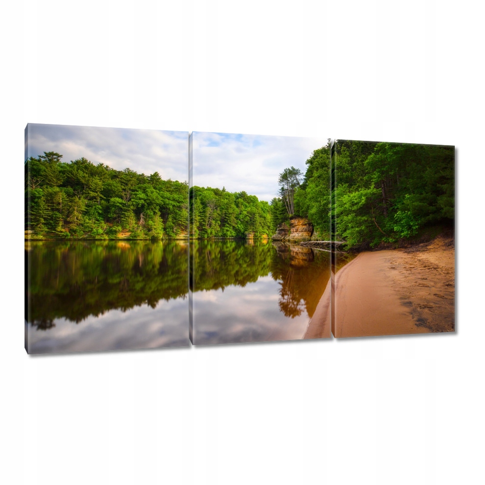 

Obrazy 120x60 Tropiki Las Jezioro Plaża