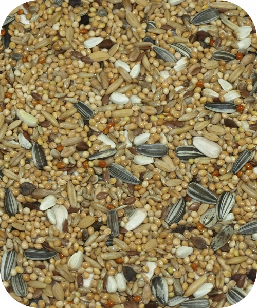 Корм Deli Nature 30 Rozella Nymph Pipit 1кг - docom.com.ua