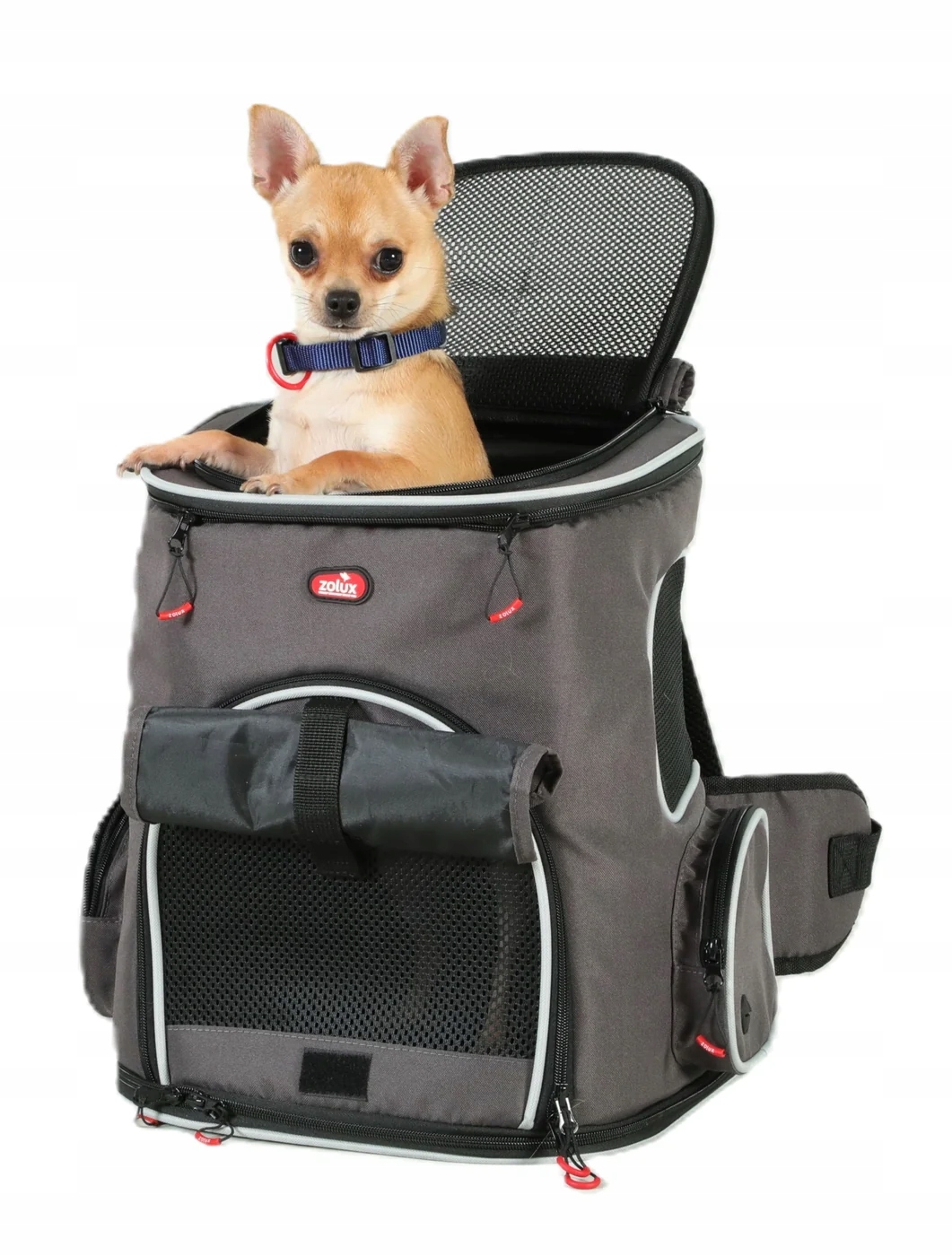 Plecak do transportu psa, kota Zolux Nomad 33×29×40