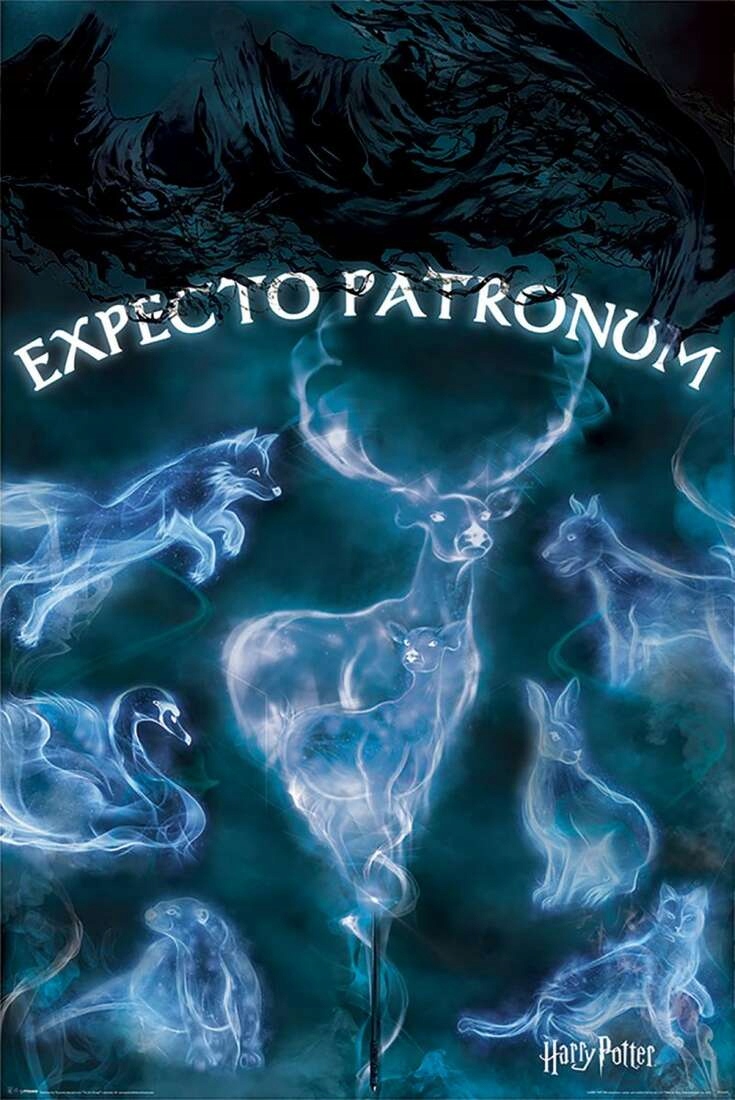 

Harry Potter Patronus plakat 61x91,5 cm