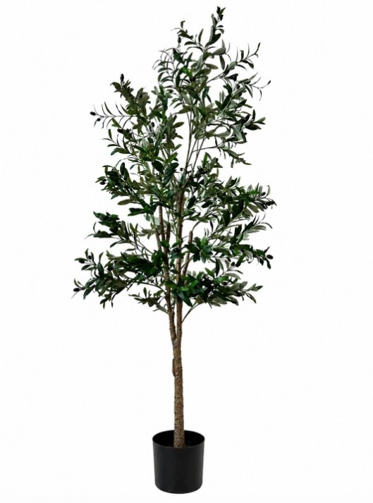 Umelý olivovník 210 cm do domu, kancelárie, reštaurácie, recepcie