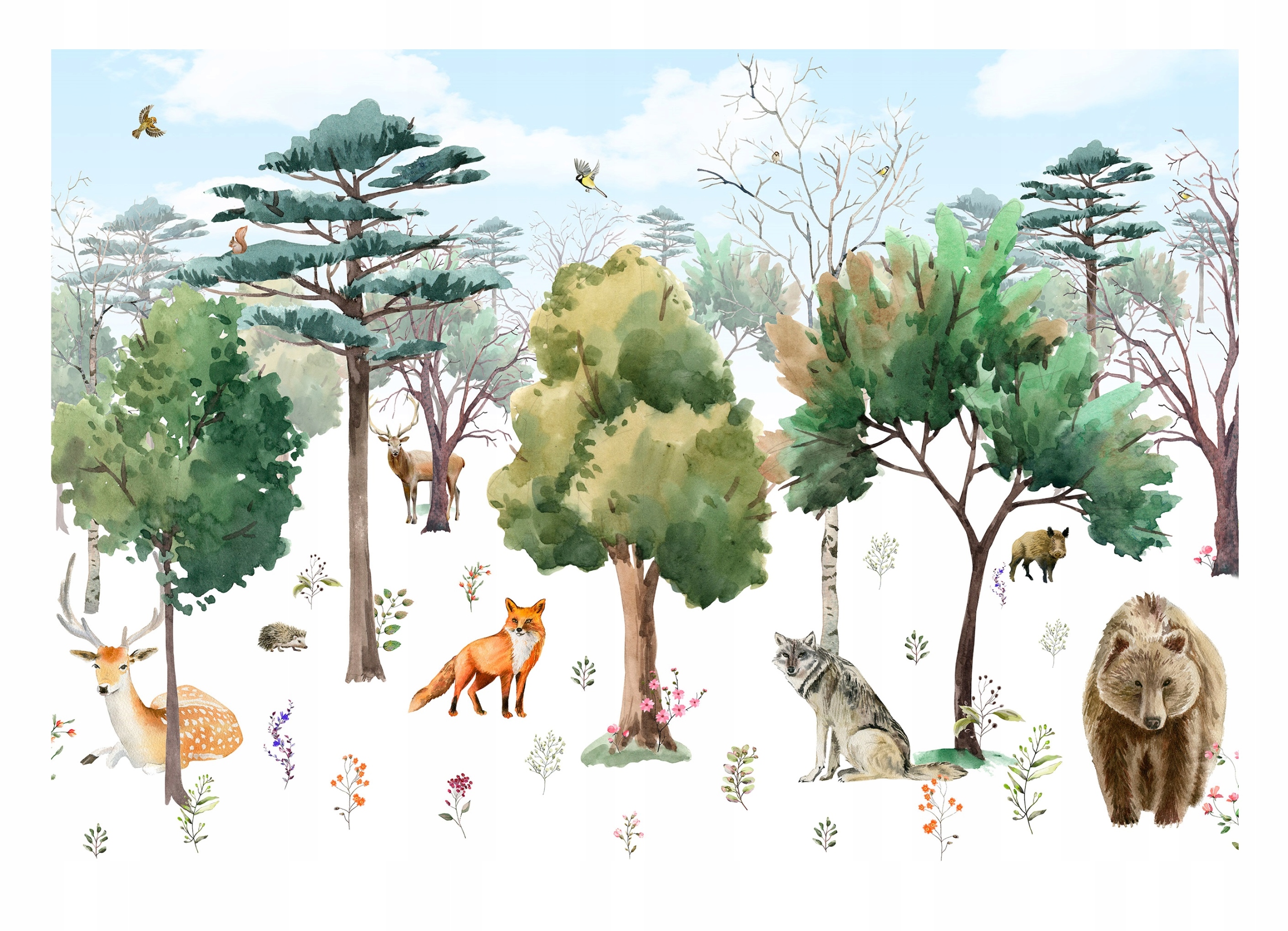 

Fototapeta Dziecięca Drzewa Zwierzęta Las 368x254