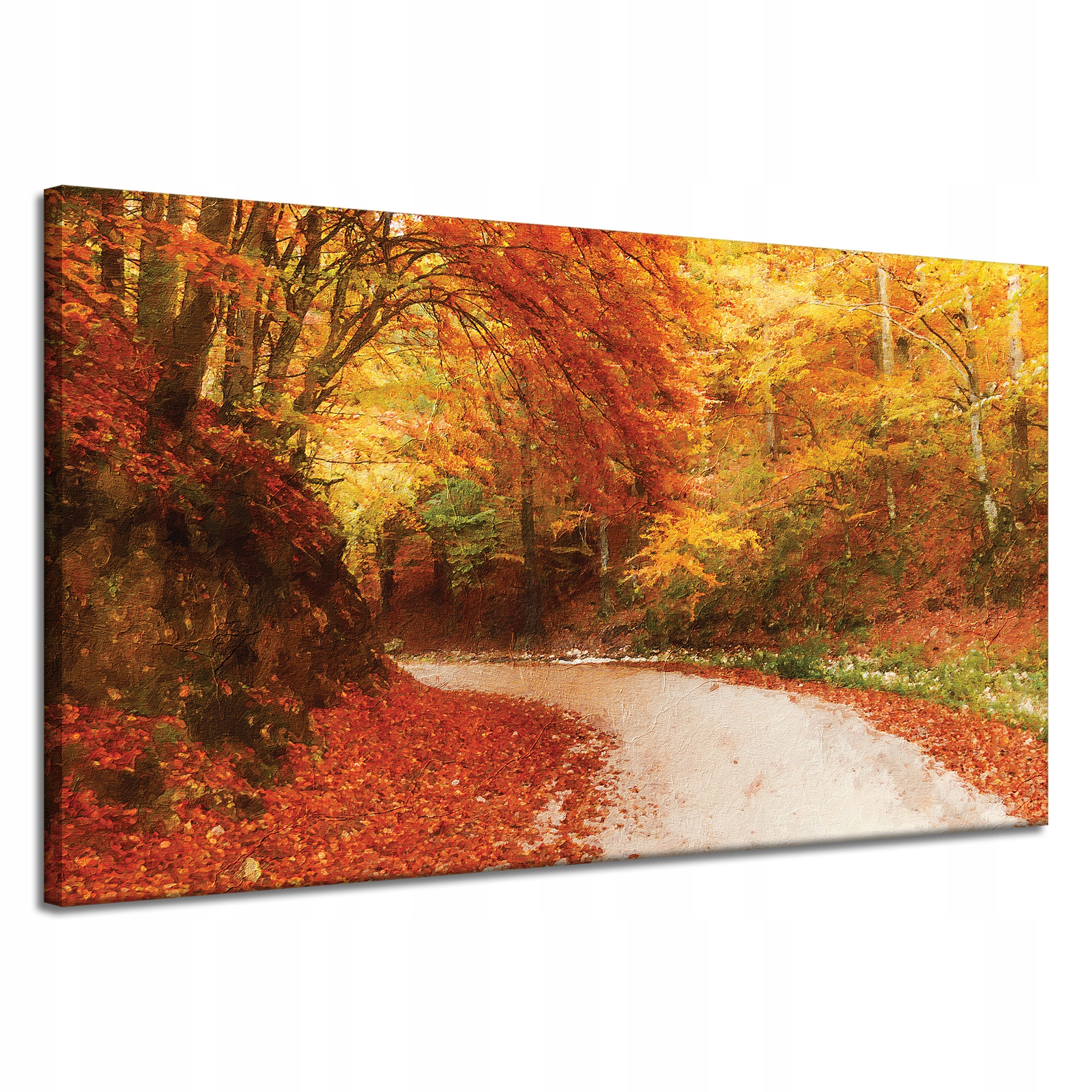 Obraz na plátně Stezka v Podzimním lese Barevné listy 120x70 cm
