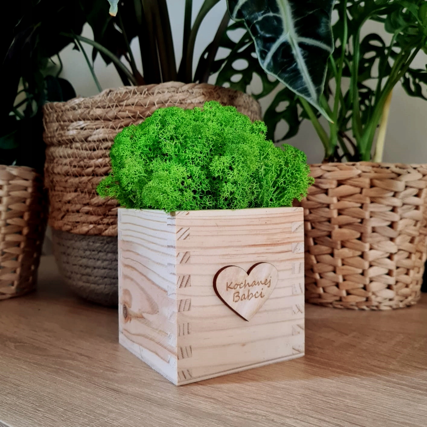 Kostka MECH Chrobotek Prezent na Dzień Babci Marka inna