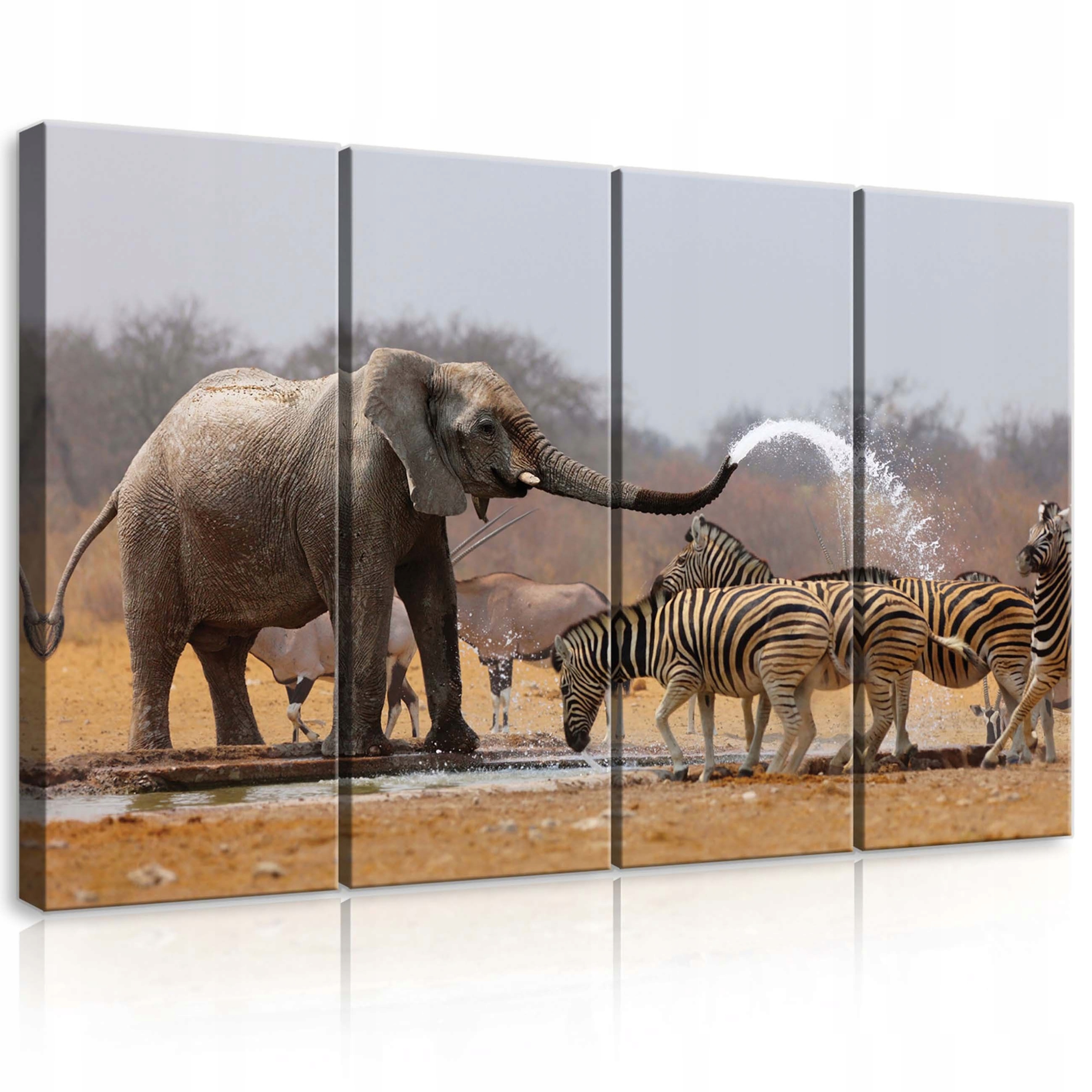 Obraz 120x80 Afrika savana slon zebry zvířata příroda klid síla