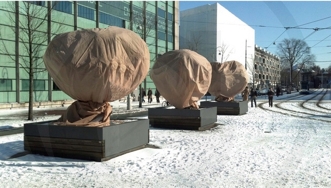 Sáček Na Ochranu Rostlin 0,6 x 0,8 m 2 Kusy