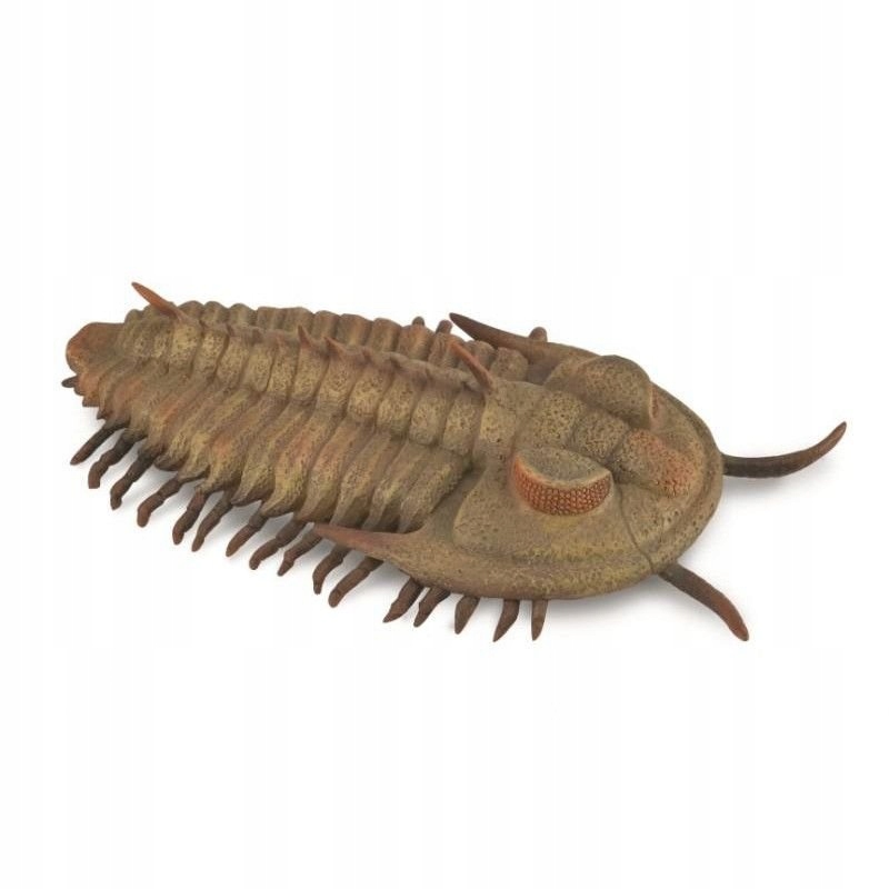 

CollectA 88906 Trylobit Redlichia rex