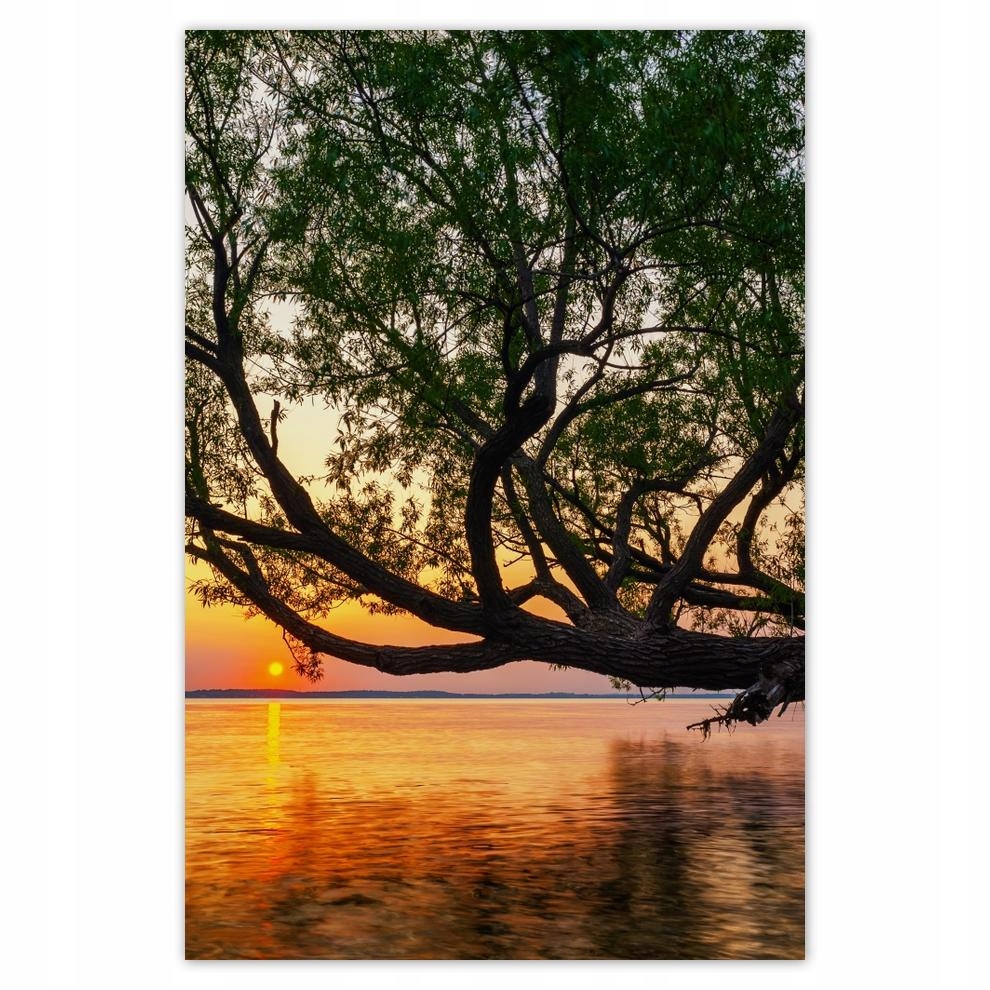 

Plakaty 40x60 Drzewo Liście Jezioro