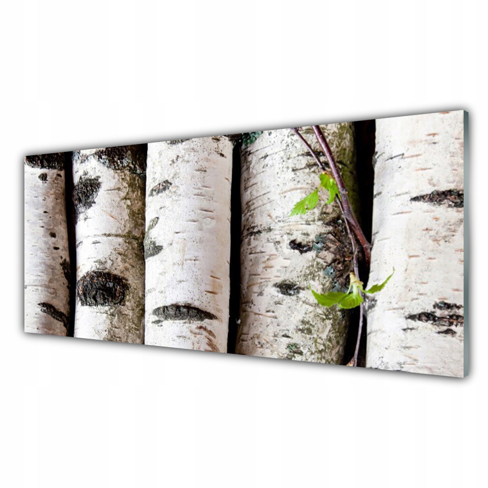 

Fotoobraz ścienny z grafiką 125x50 Drzewa Natura