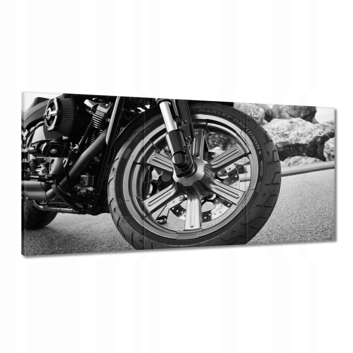 Obrazy 180x90 Harley Davidson Motocykel