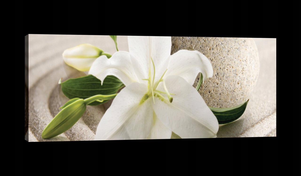 Obraz 145x45 Klid zen harmonie relaxace lilie květiny příroda minimalismus