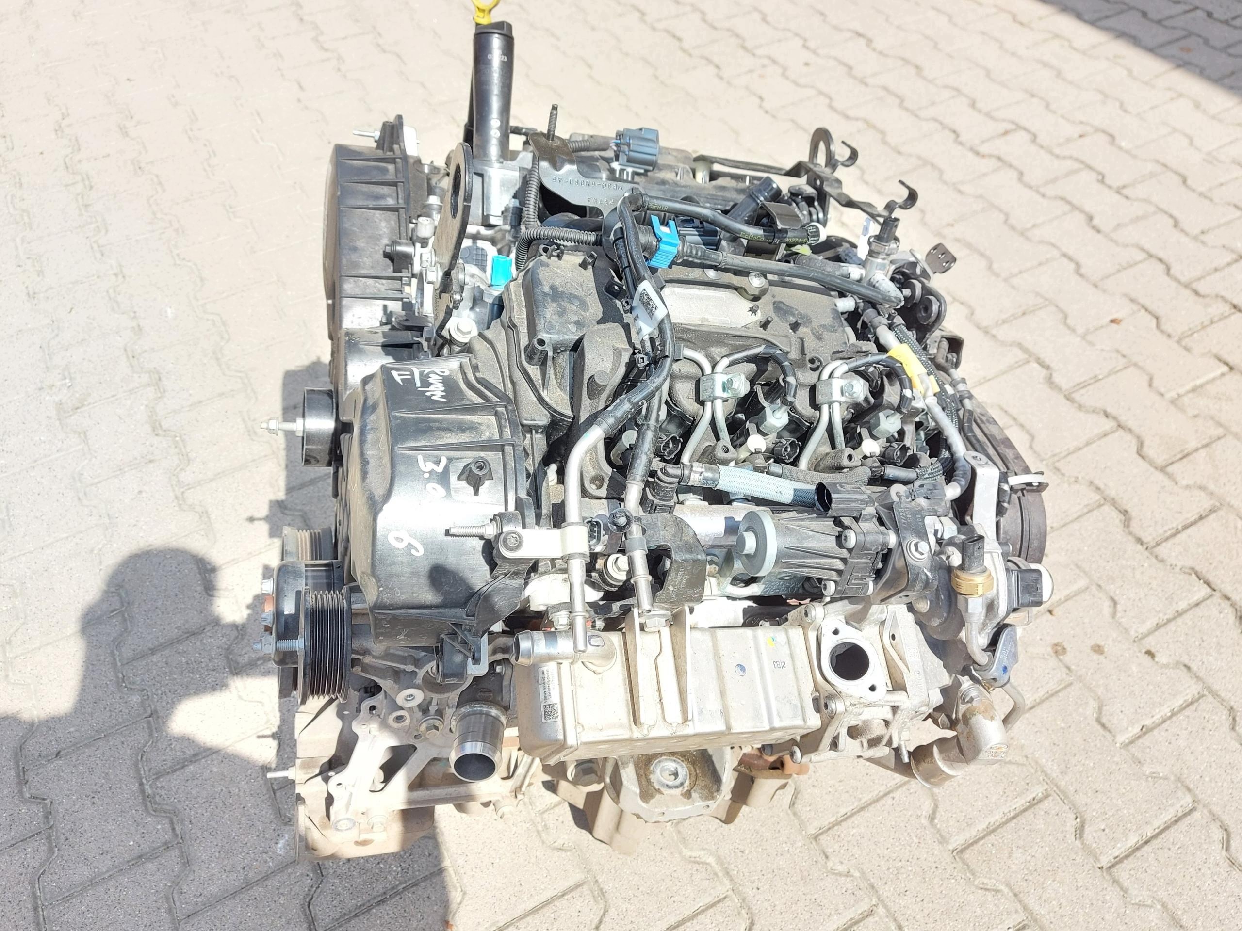 VW AMAROK II 2024r. 3.0 TDCI engine 3.0 TDI 240KM, BF2X DXWB
