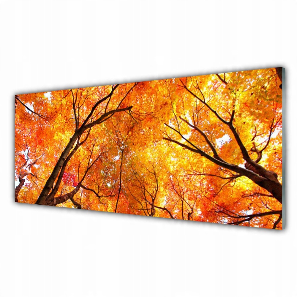 

Fotoobraz akryl na prezent 125x50 cm Drzewa Natura