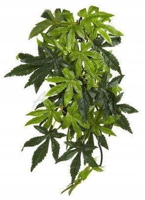

Roślina sztuczna wystrój terrarium Silk Abuliton M