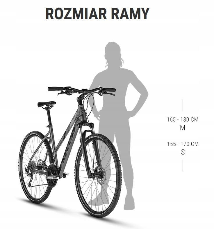 KELLYS PHEEBE 10 2023 Sky Blue M-19" ROWER-SPORT_PL EAN (GTIN) 8585053823605