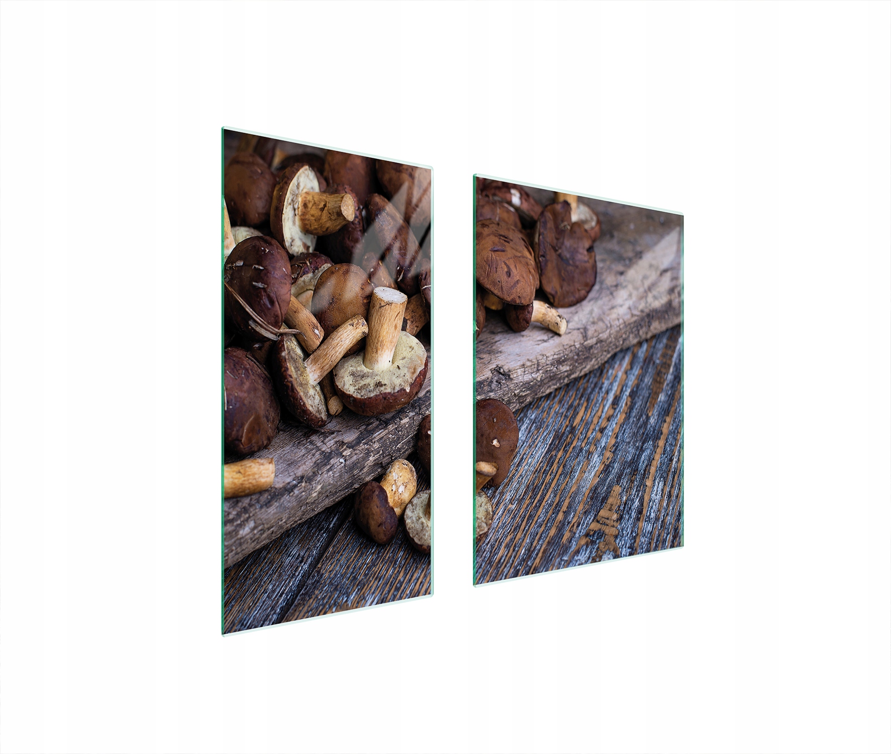 Skleněná Ochranná Deska 75x52 Houby Tvrzené Sklo