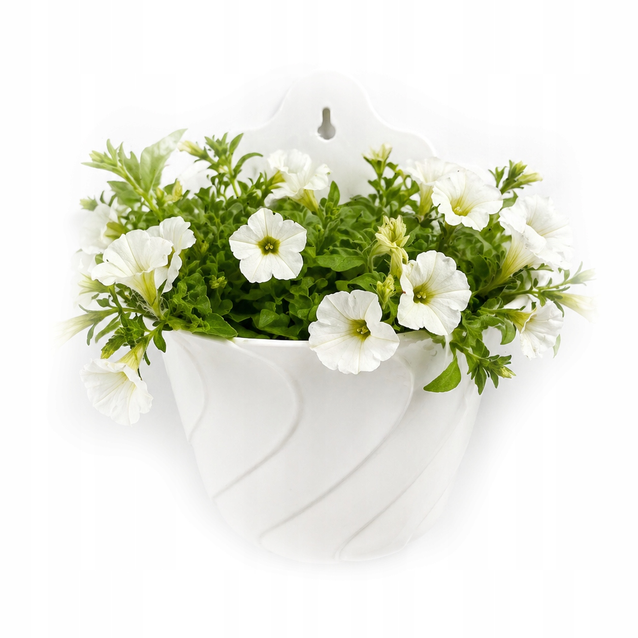 Závesný nástenný kvetináč Tulipán 22 cm 4 L na balkón Terasa 100 ks
