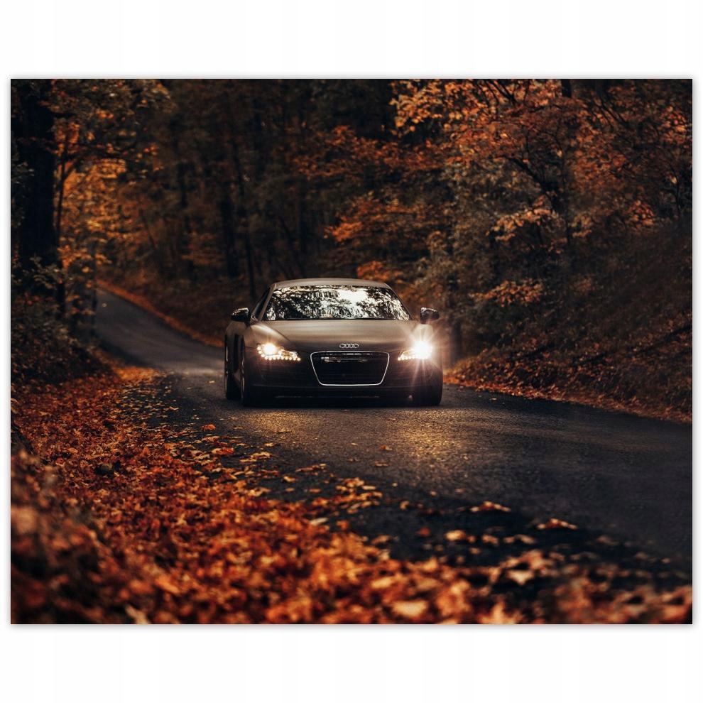

Plakat 50x40 Audi Jesienny pejzaż