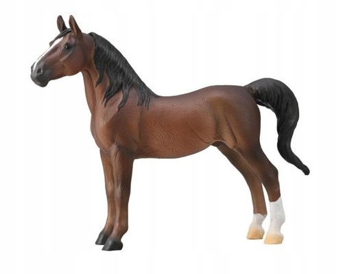 

Ogier American Saddlebred