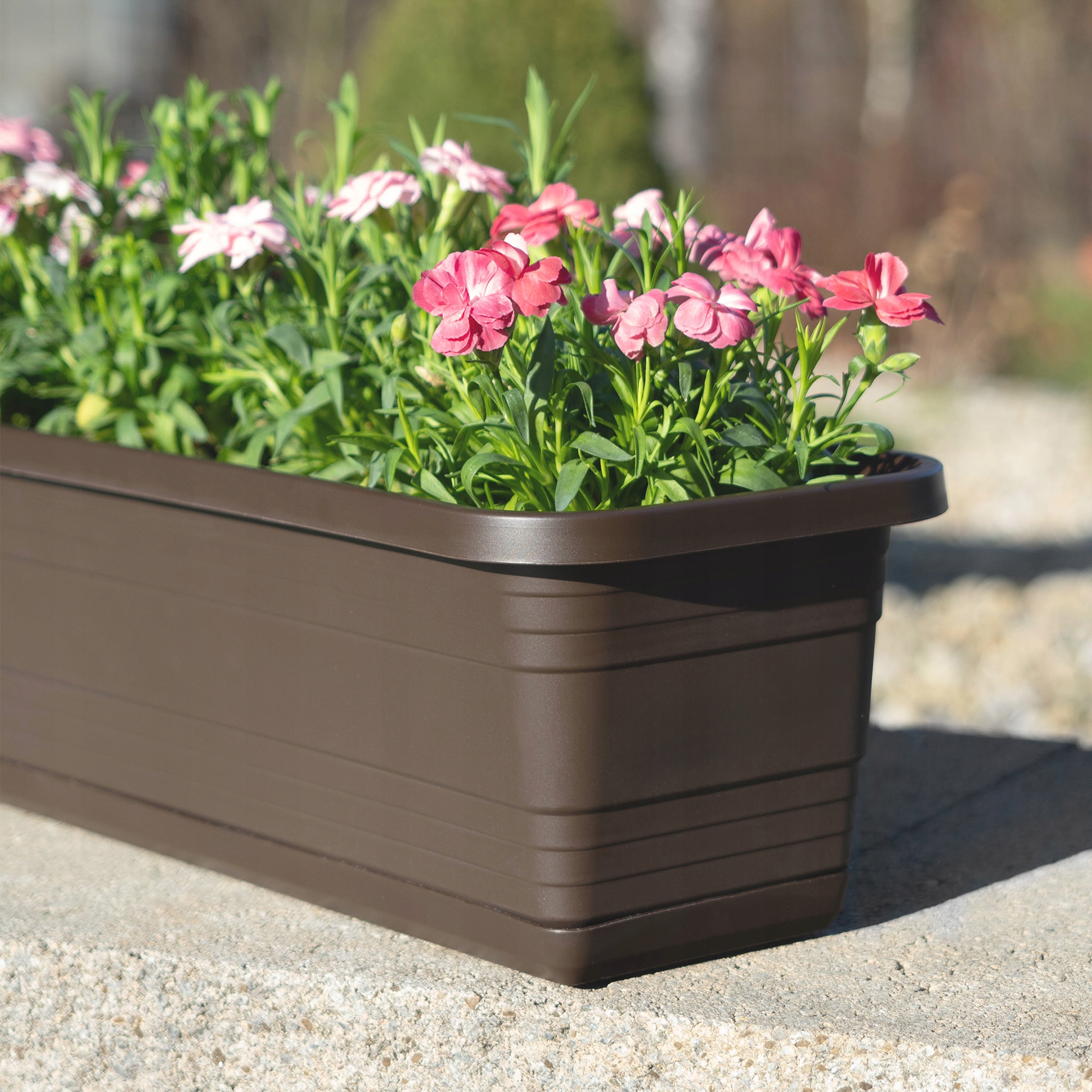 DONICZKA BALKONOWA SKRZYNKA DONICA NA KWIATY 60cm + PODSTAWKA MOKKA Długość maksymalna 60 cm