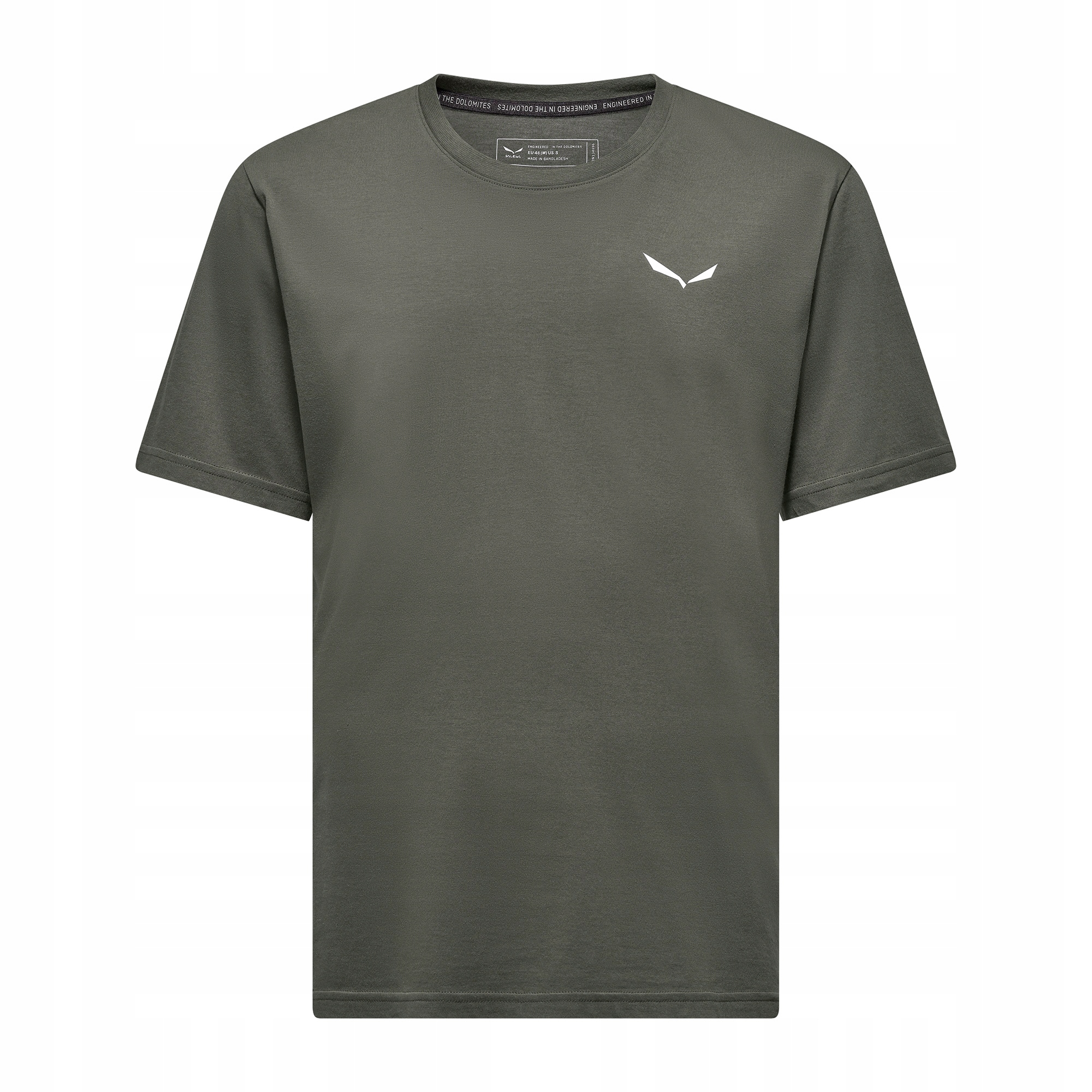 Pánské tričko Salewa Eagle Vocab faded green