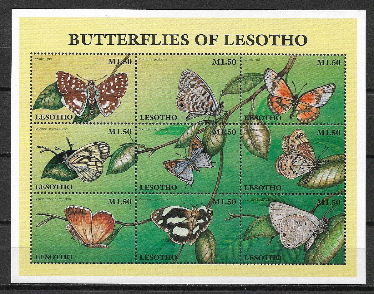 Lesotho motyle