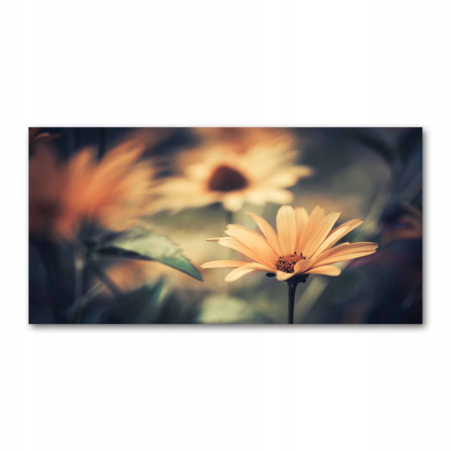 

Foto-obraz akryl Wiosenny kwiat zdjęcie 140x70 cm