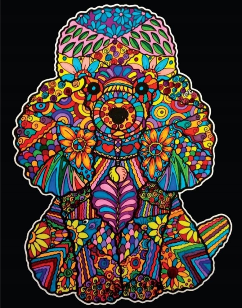 Colorvelvet Velurová omalovánka Pudl 47x35 cm s fixami