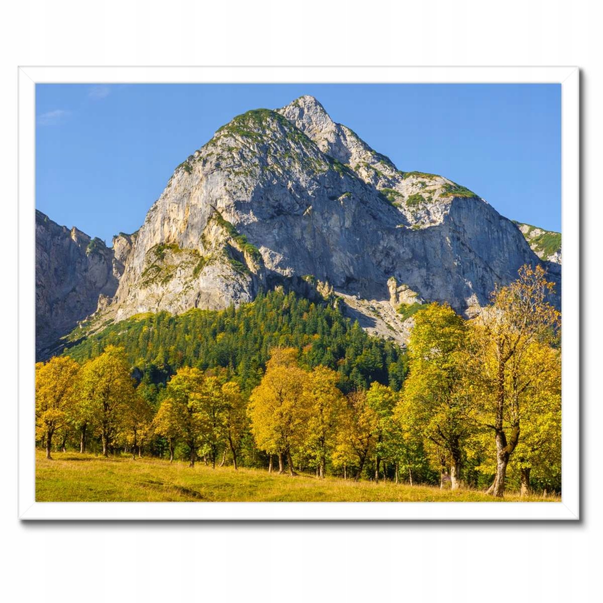 Plakáty v rámu 50x40 Horská krajina s čistým nebem Stromy v horách