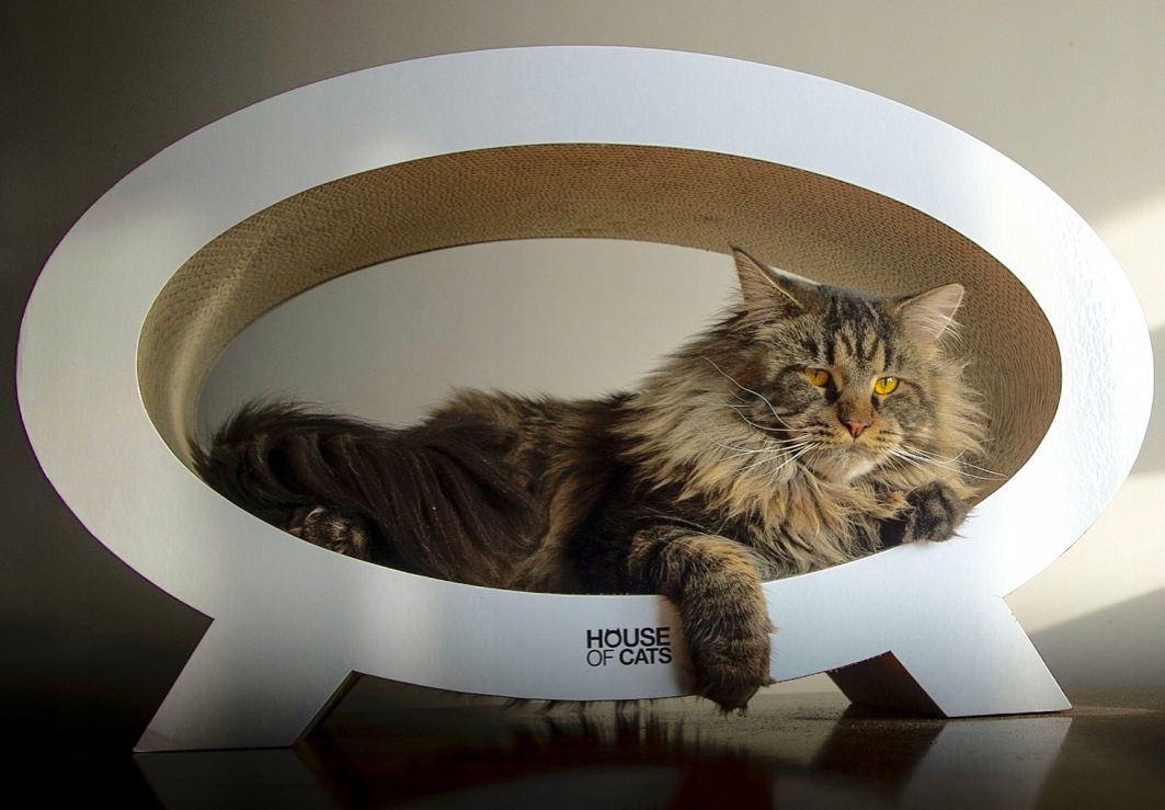 Levně Velké kartonové škrabadlo na lehátko House of Cats Elipso