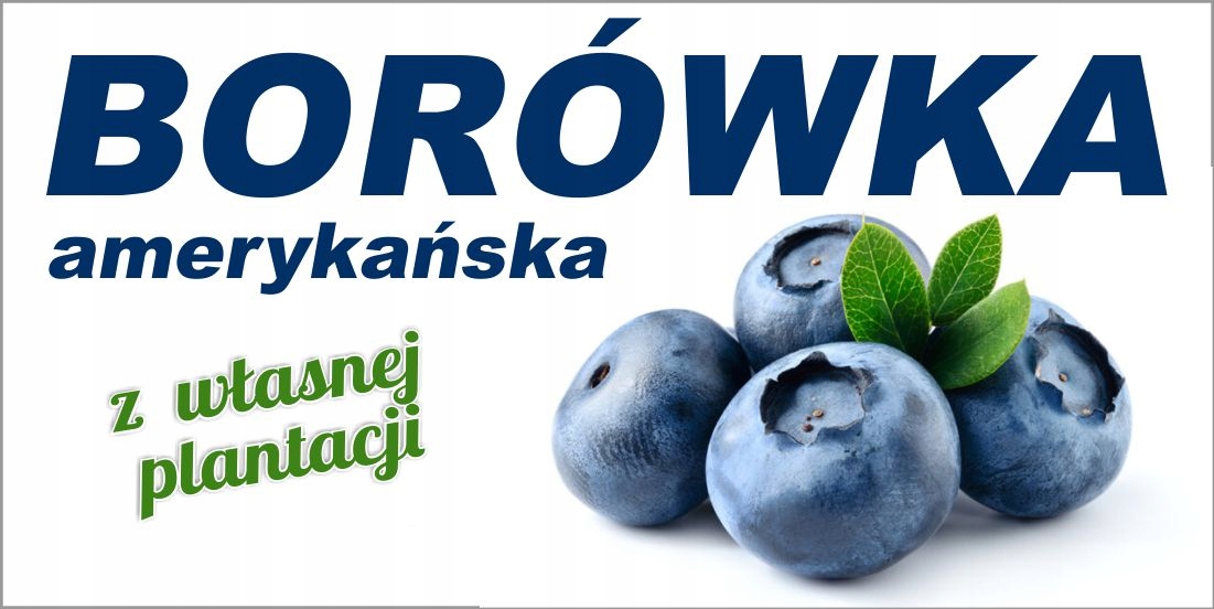 BANER BORÓWKI SPRZEDAŻ BORÓWEK 200X100 Marka inny